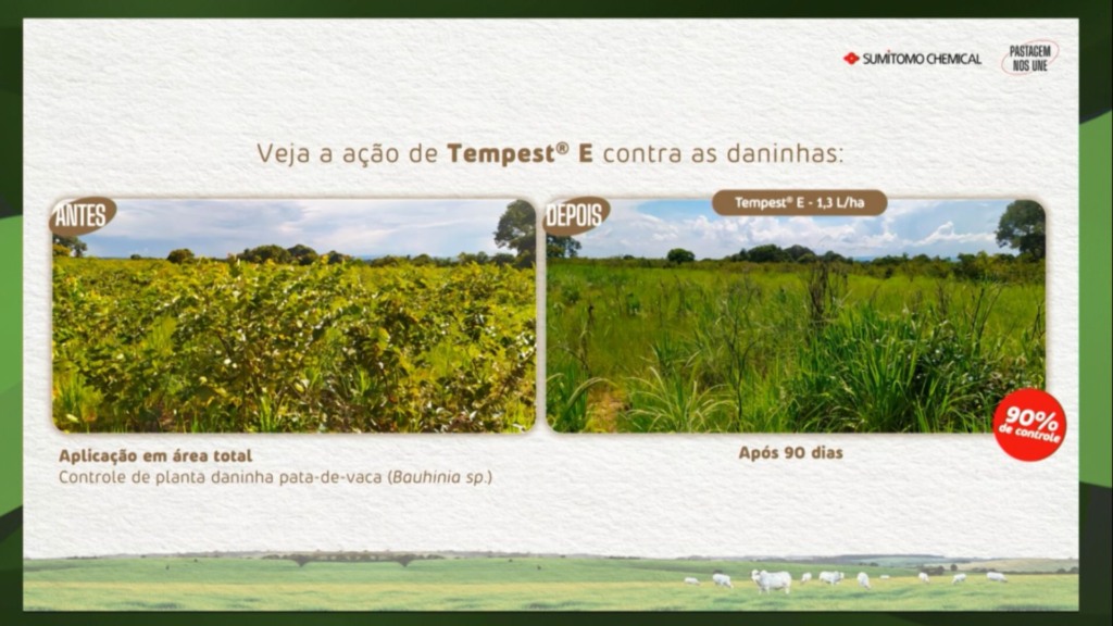 Foto: Reprodução/Giro do Boi.