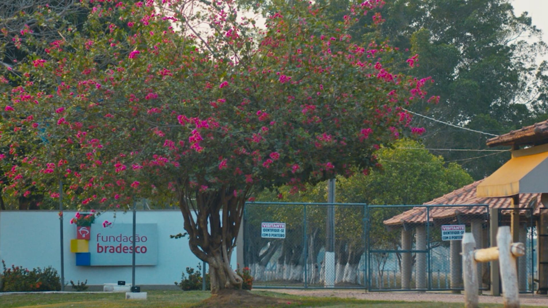 Foto: Reprodução/Giro do Boi.