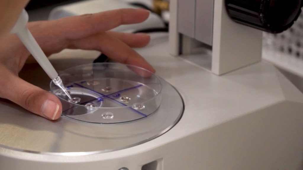 Foto: Reprodução/Giro do Boi. Foto: Reprodução/Giro do Boi.