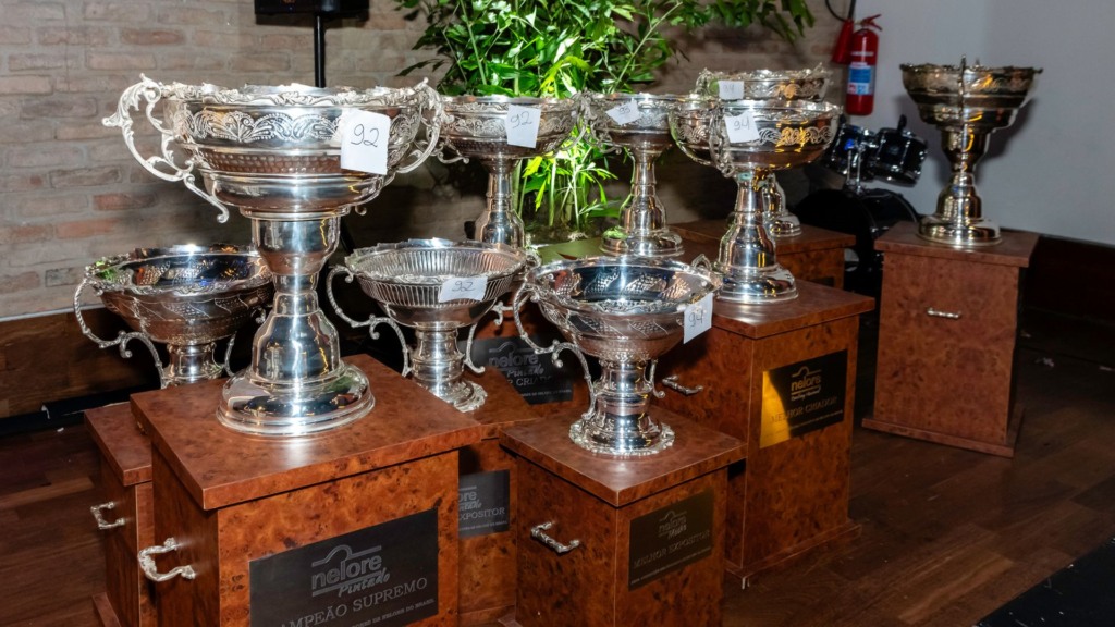 Foto: Divulgação/Nelore Fest.