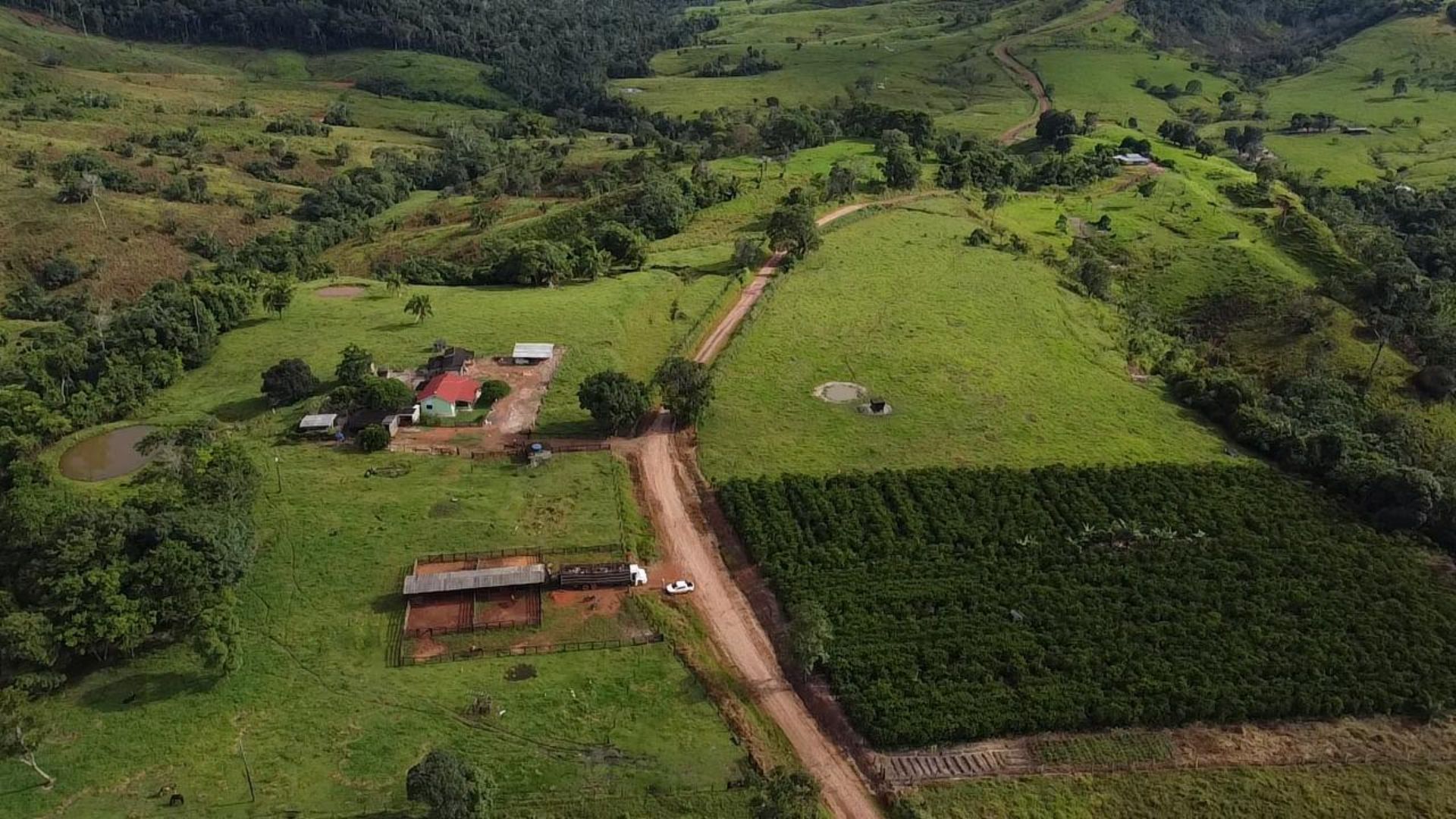 Foto: Reprodução.