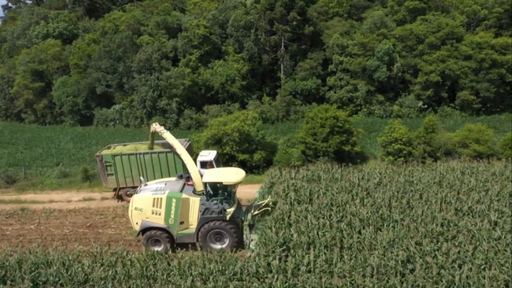 Foto: Reprodução/Giro do Boi.