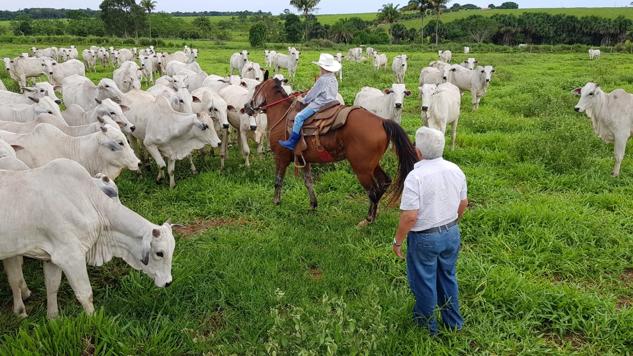 Sucessão familiar: como preparar sua fazenda para as próximas gerações?