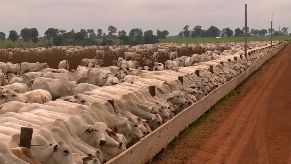 Fazenda Conforto. Foto: Reprodução/Giro do Boi. Fazenda Conforto. Foto: Reprodução/Giro do Boi.