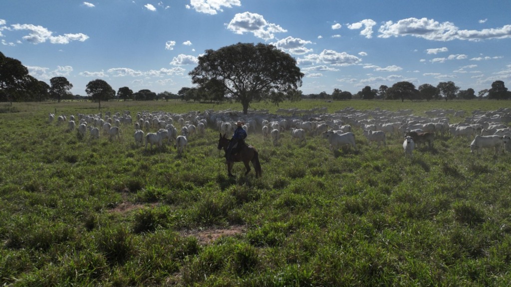 Fazenda Olhos d’Água. Foto: Divulgação.