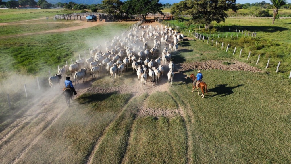 Fazenda Olhos d’Água. Foto: Divulgação.