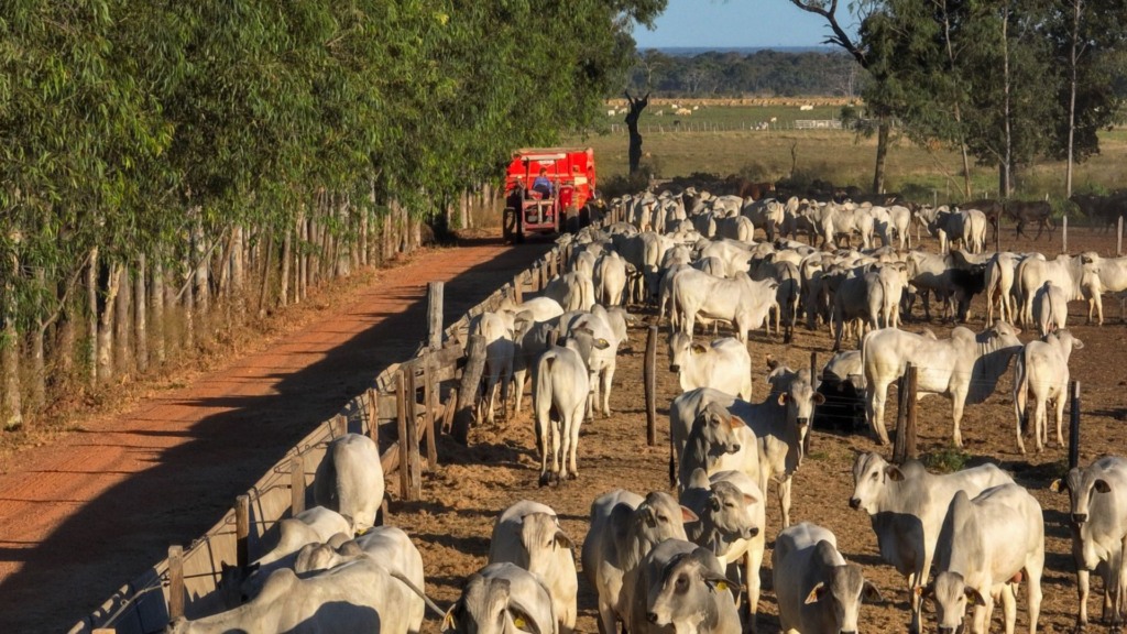 Fazenda Olhos d’Água. Foto: Divulgação.