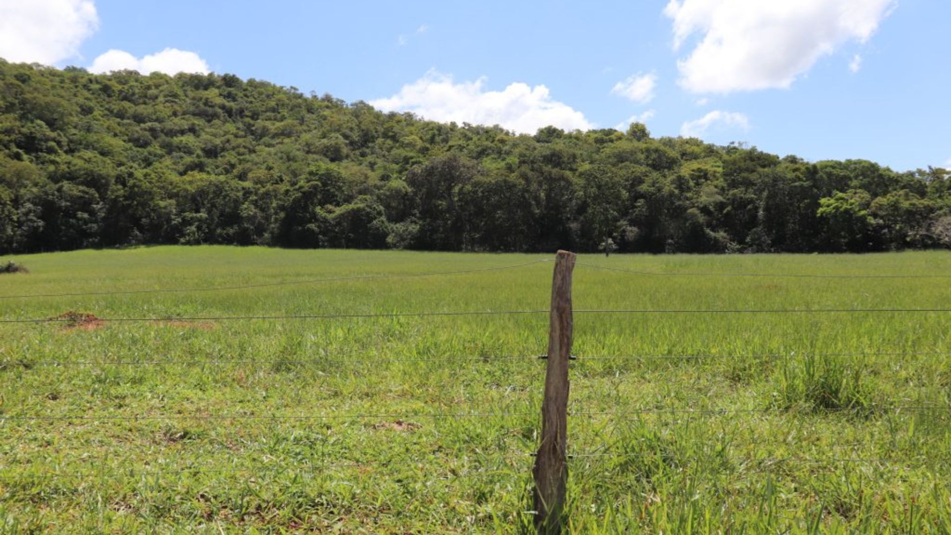 Foto: Divulgação/Acrissul.