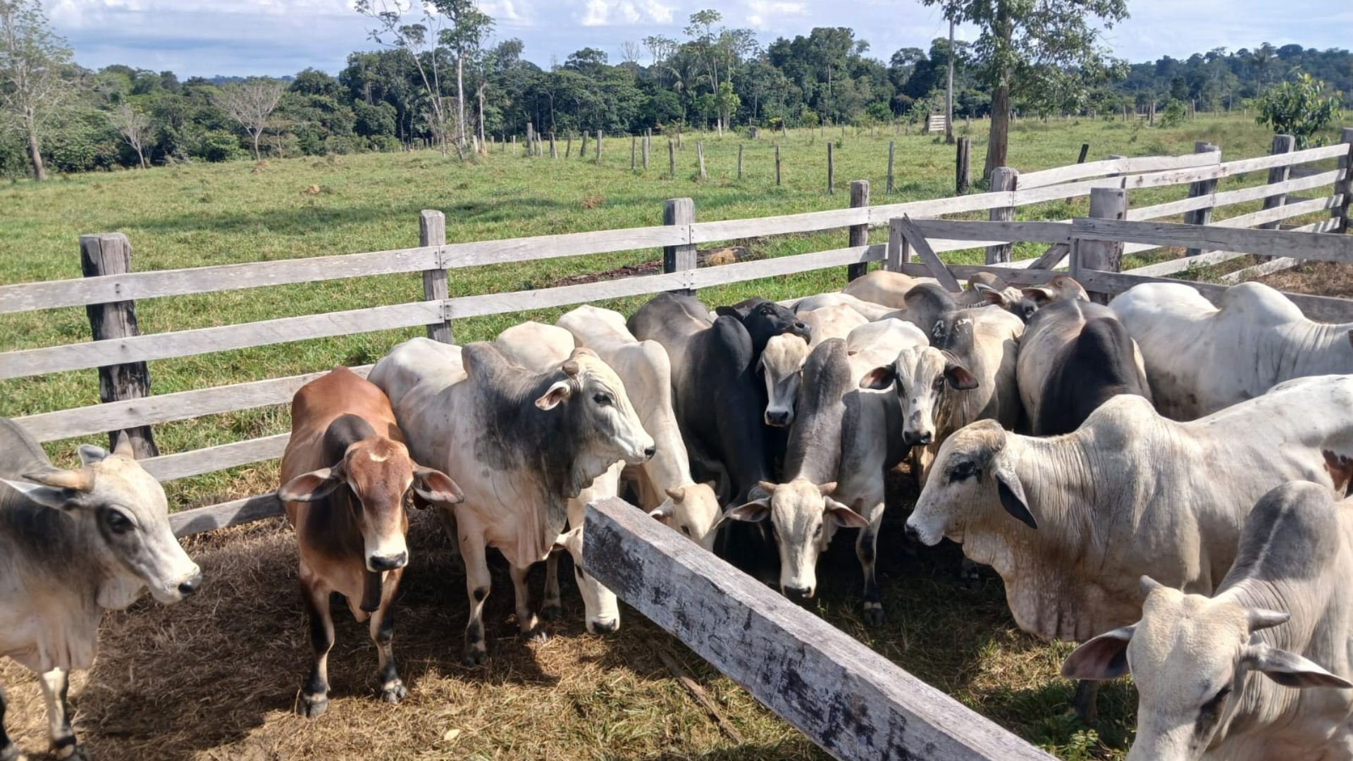 Foto: Divulgação.
