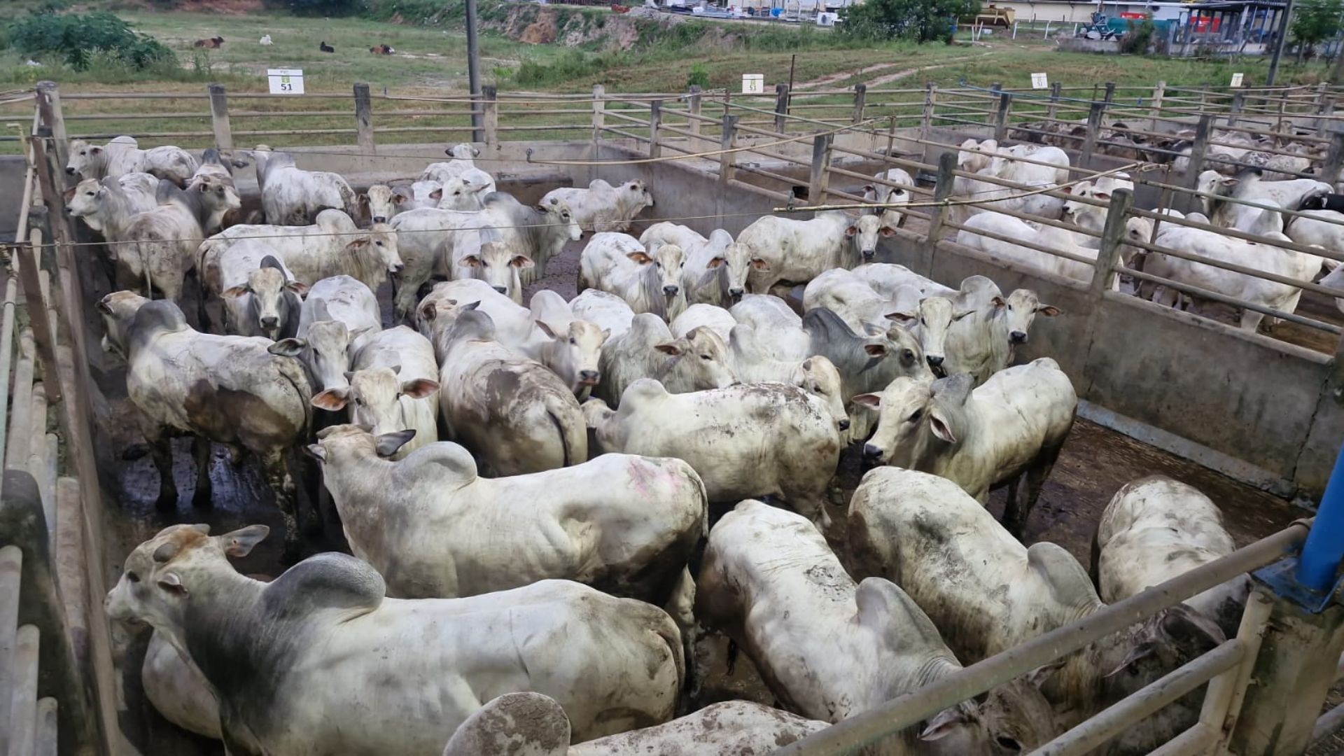 Foto: Divulgação.