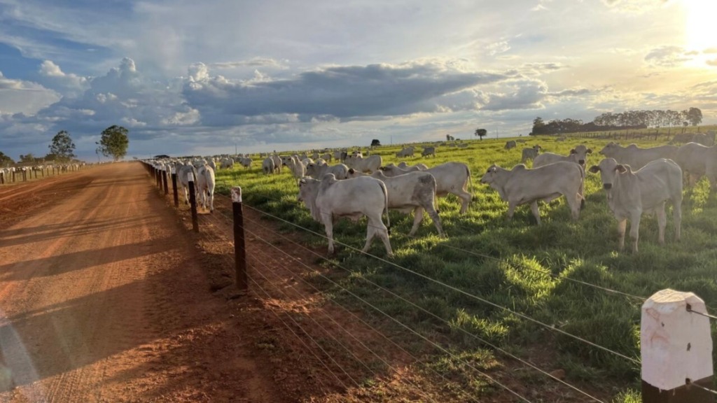 Foto: Divulgação.