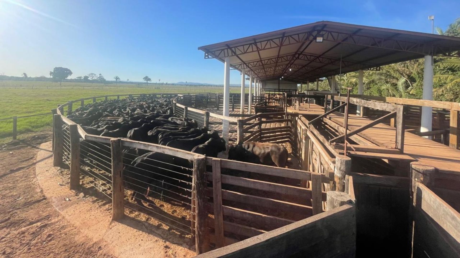 Fazenda Seriema. Foto: Divulgação.