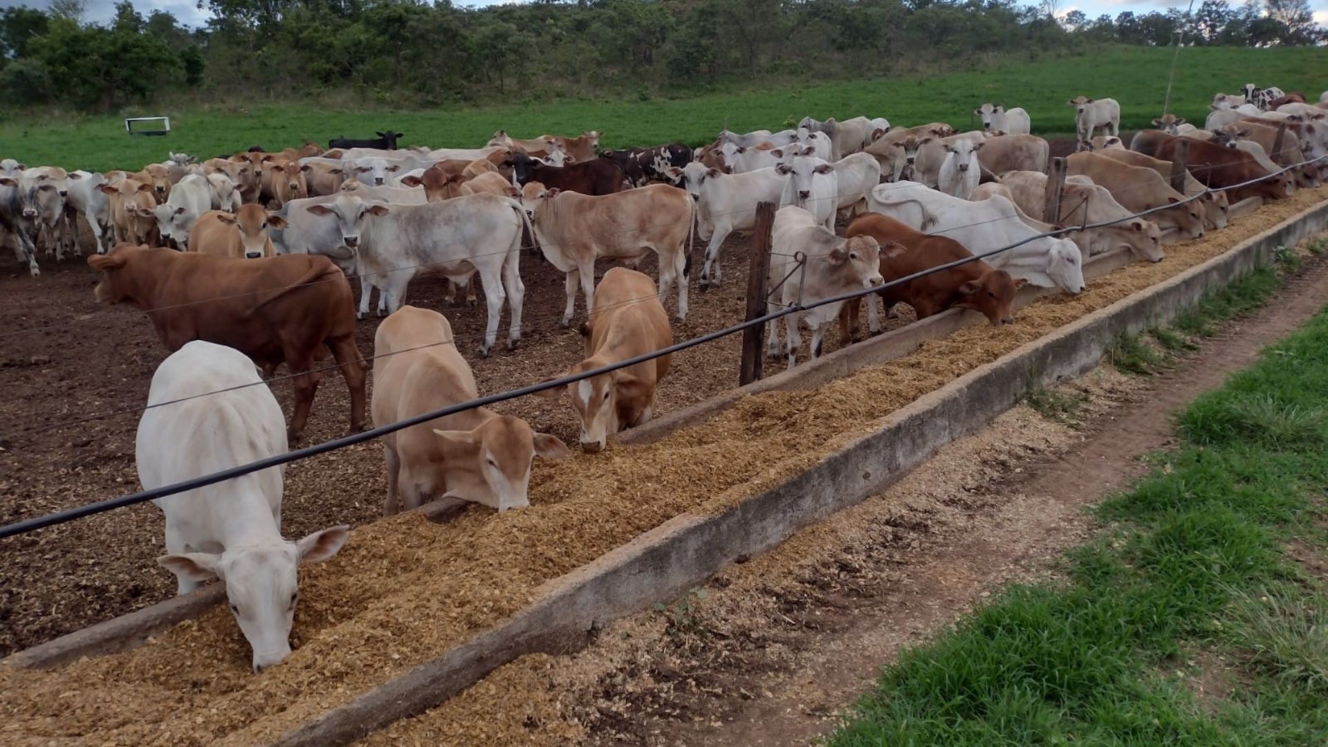 Foto: Divulgação.