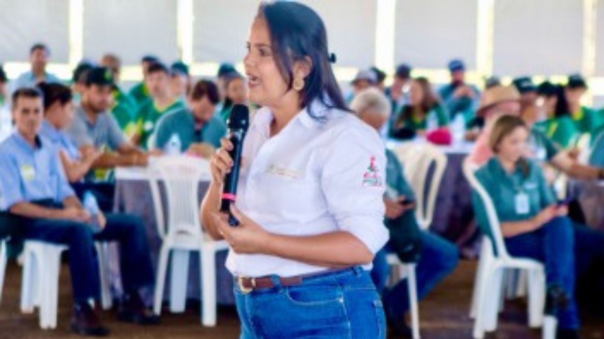 Foto: Divulgação.