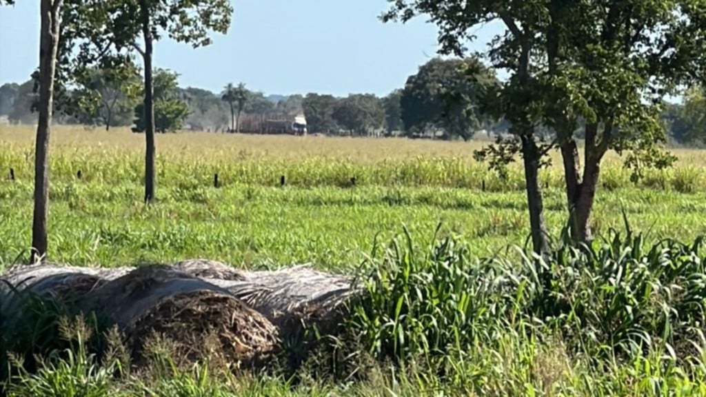 Foto: Divulgação.