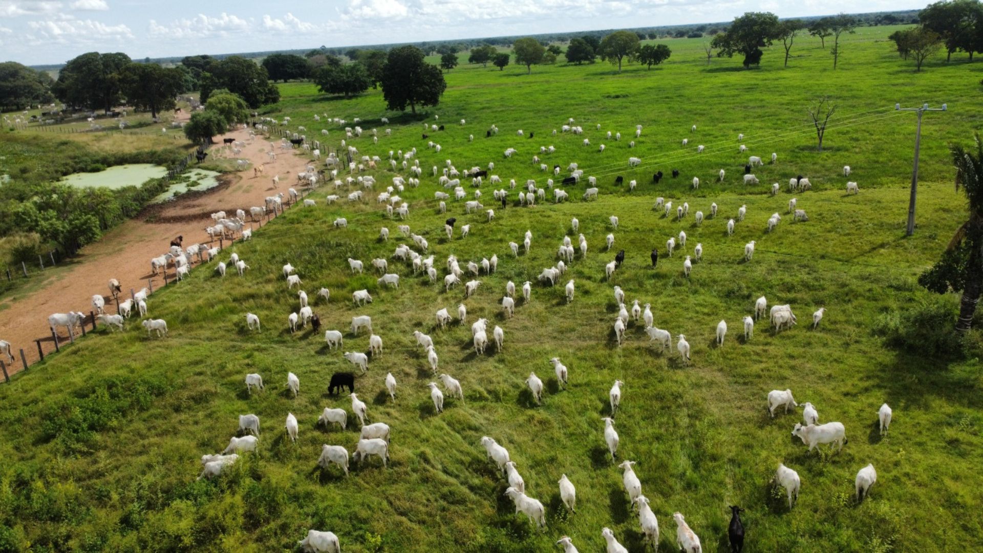 Foto: Divulgação.