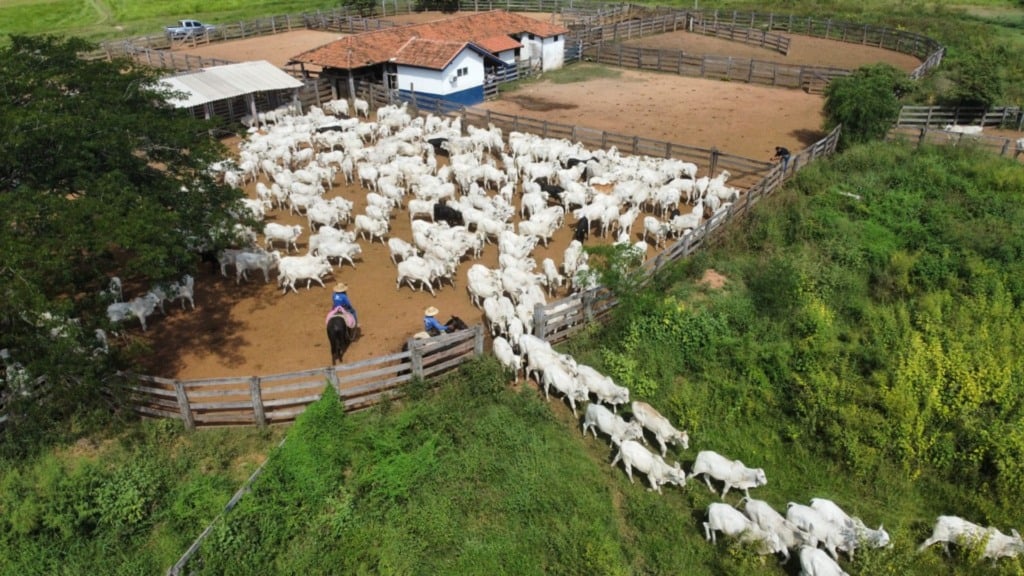 Foto: Divulgação.