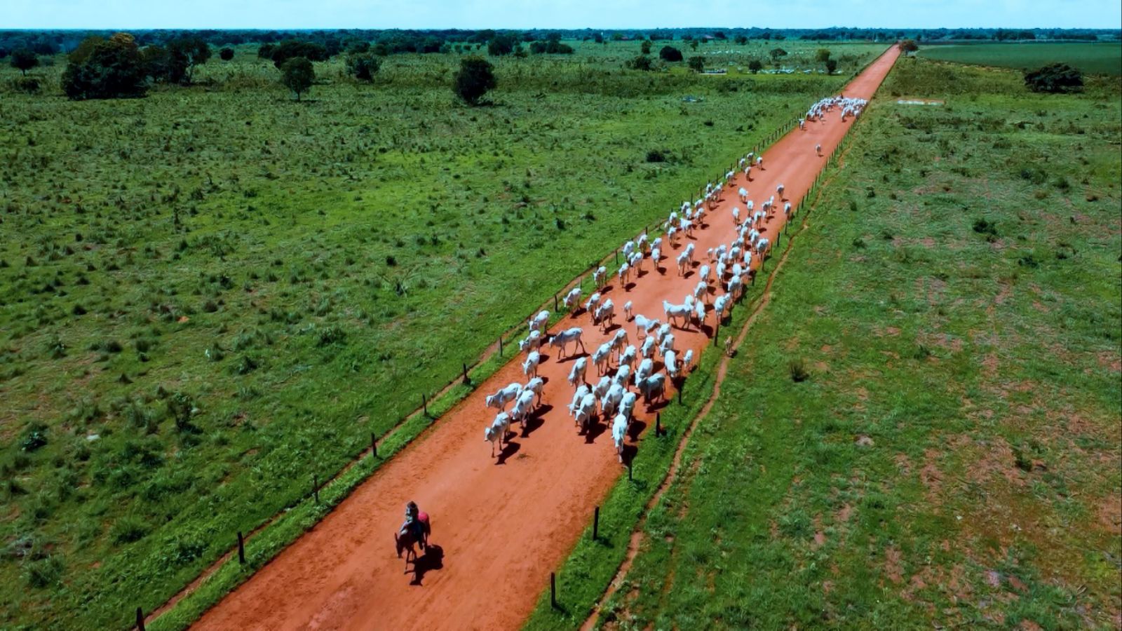 Foto: Reprodução/Giro do Boi.