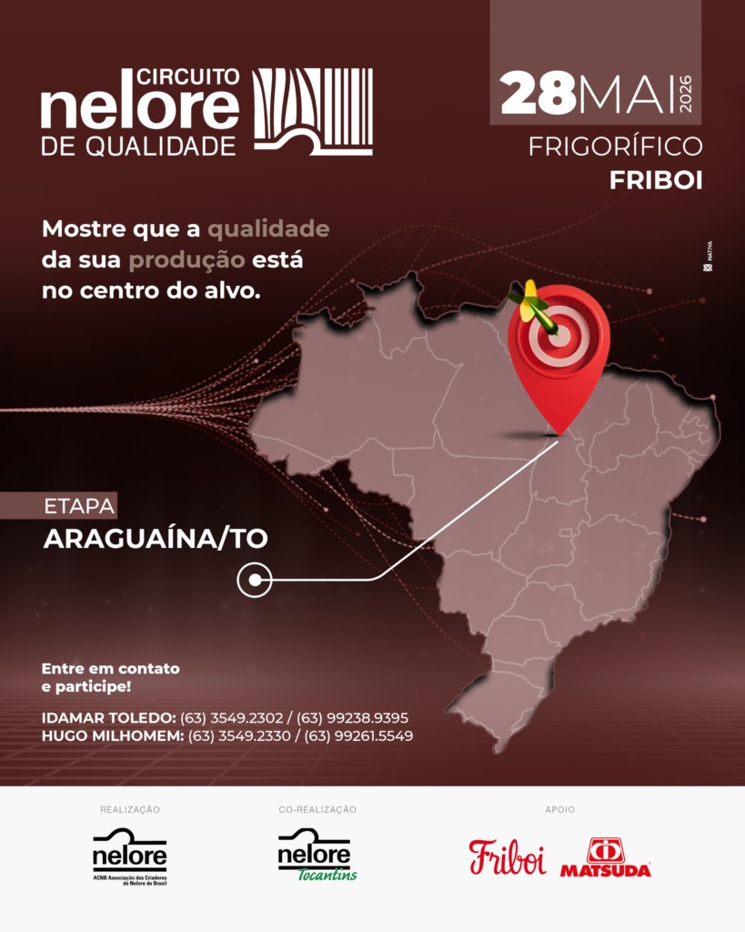 Foto: Divulgação. 