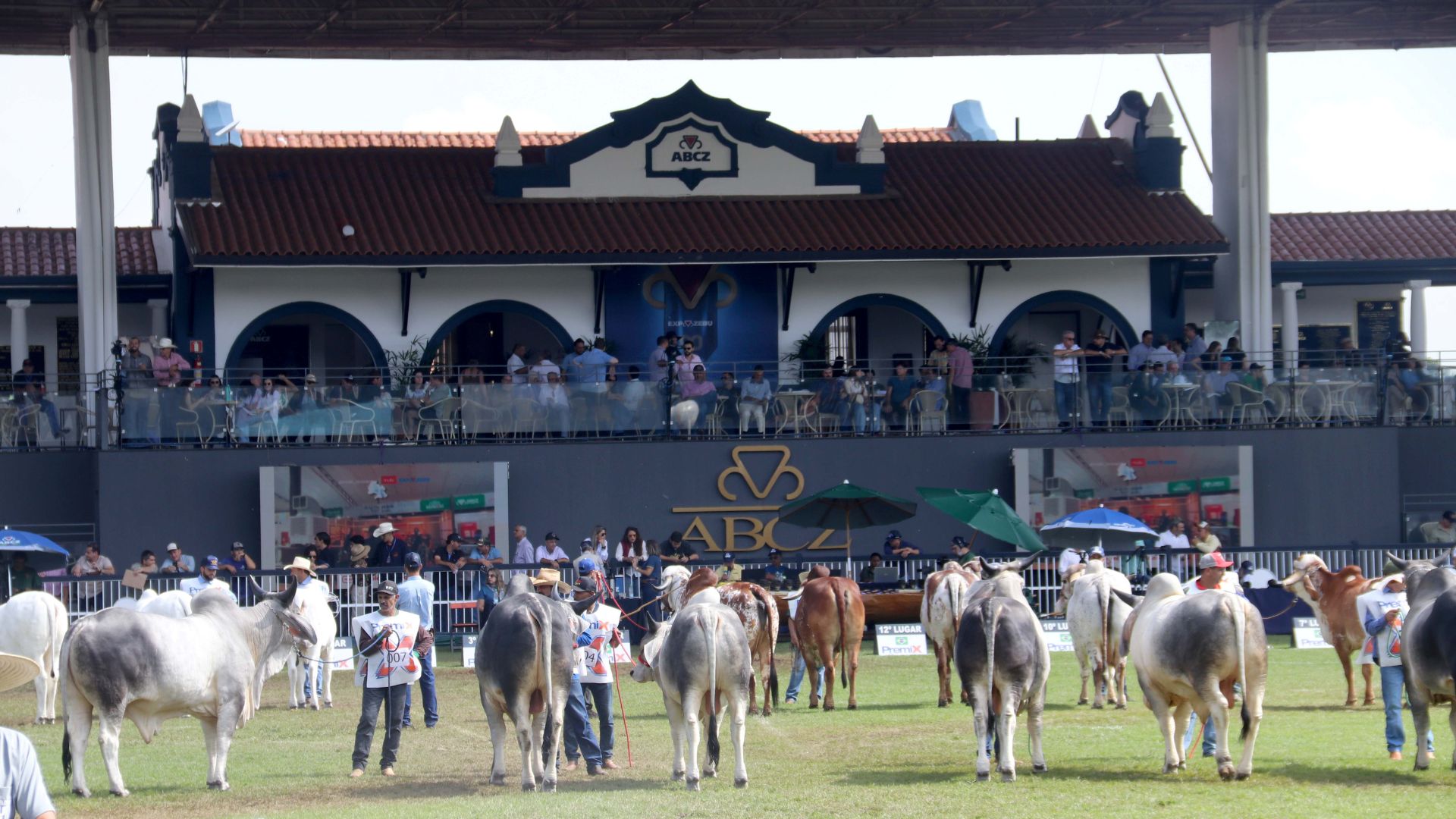 Foto: Divulgação/ABCZ.