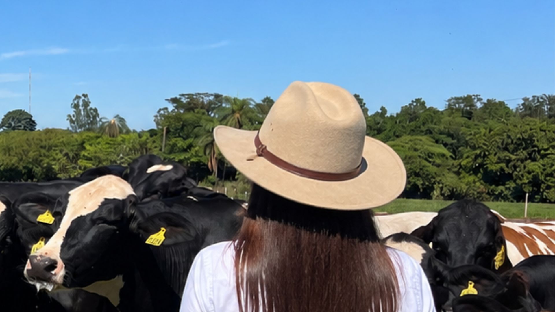 Foto: Divulgação.