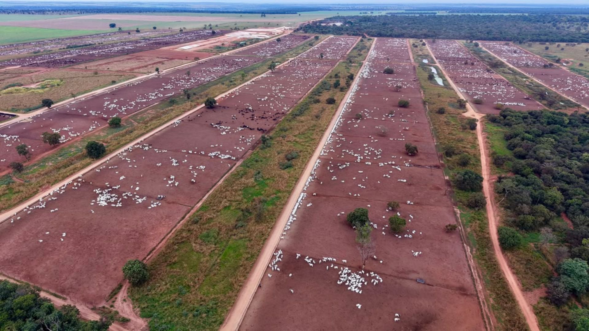 Foto: Divulgação.