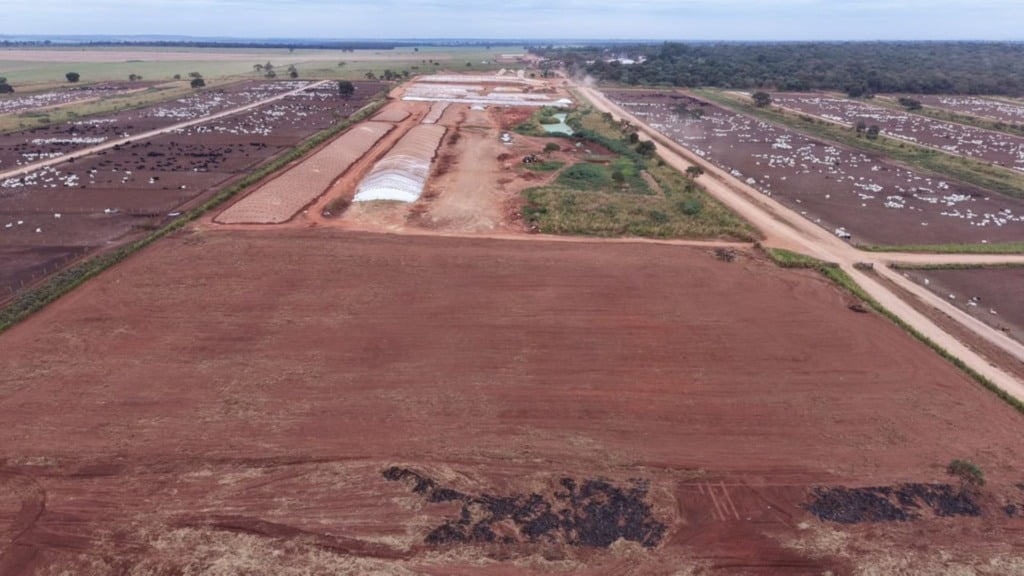 Foto: Divulgação.