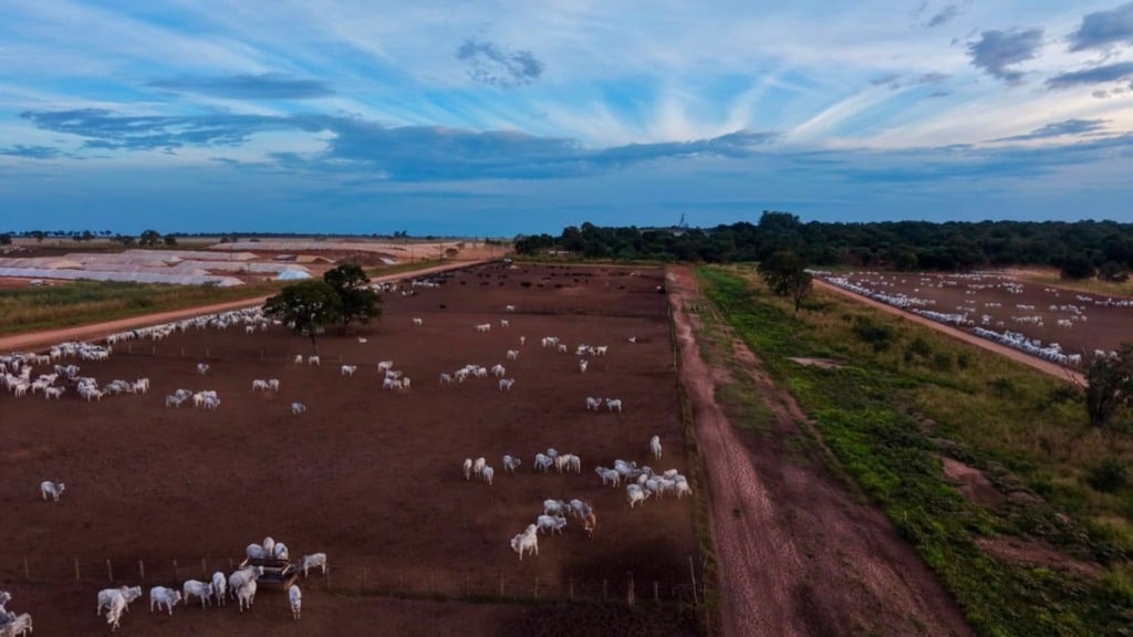 Foto: Divulgação.