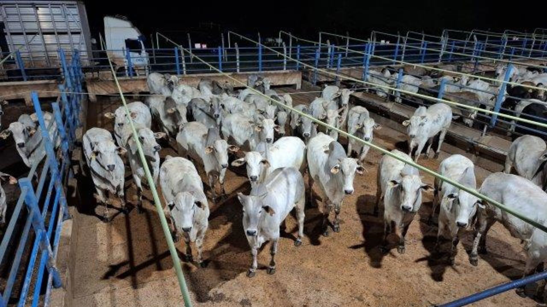 Foto: Divulgação. 