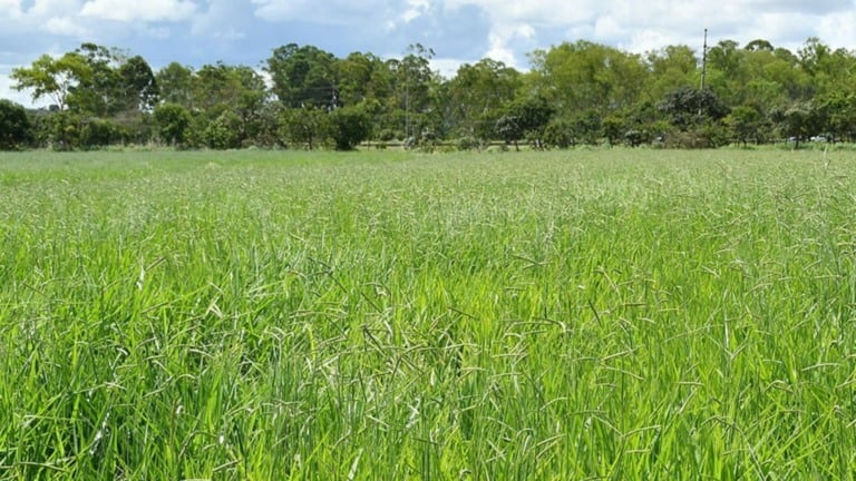 Foto: Divulgação.