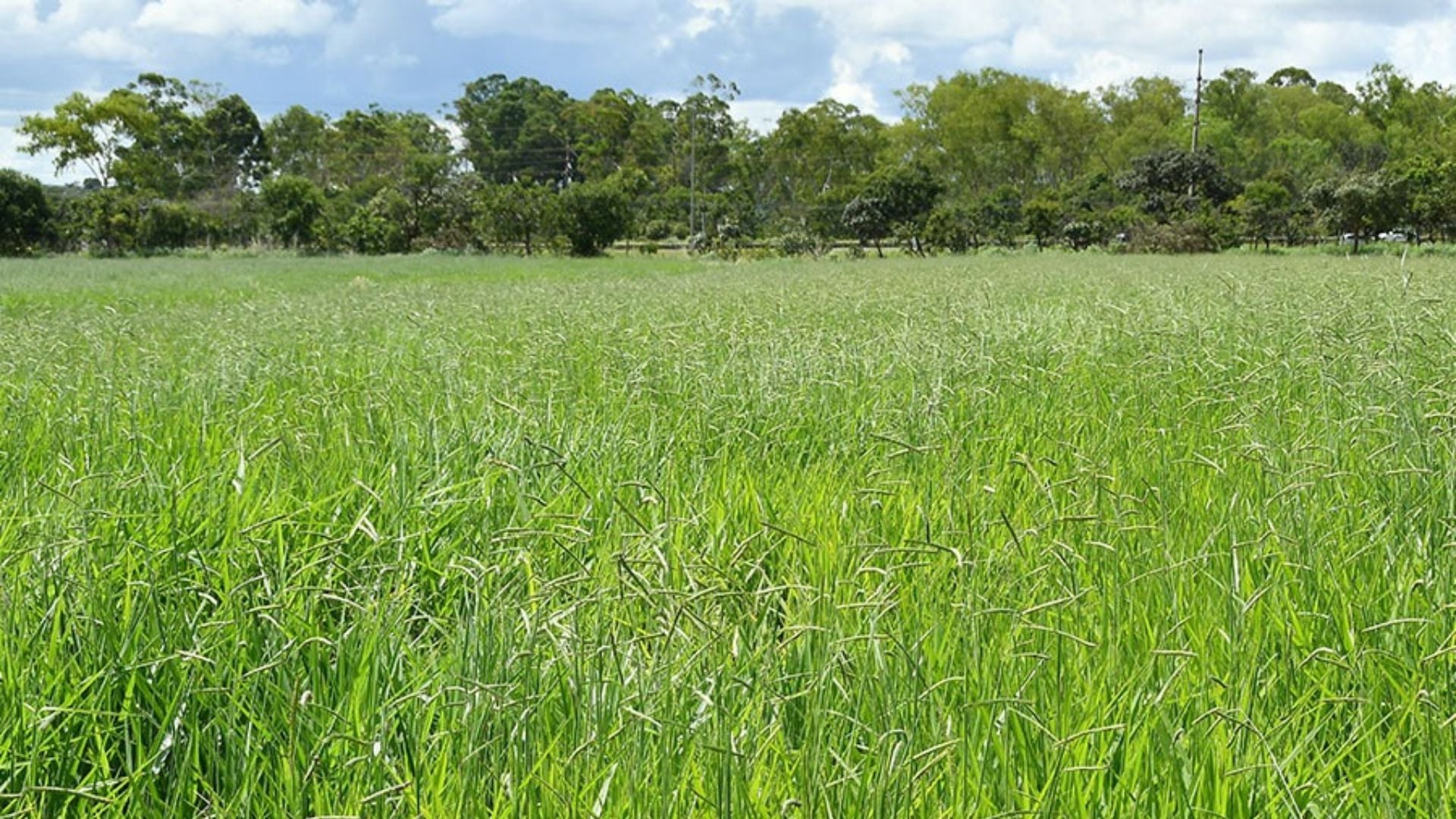 Foto: Divulgação.