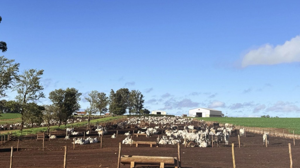 Fazenda Santa Clara. Foto: Divulgação.