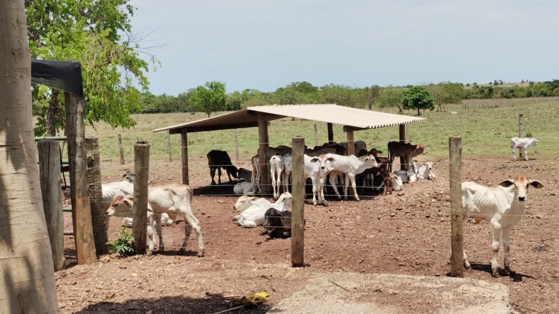Foto: Divulgação. 
